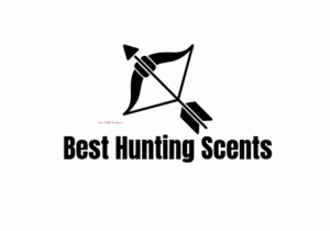 Logo-maker-project-1-300x210